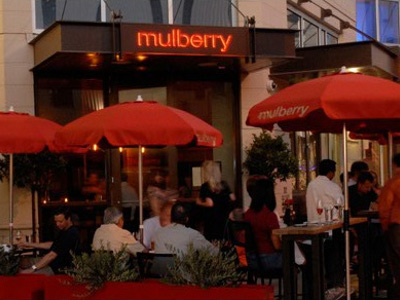  Mulberry  